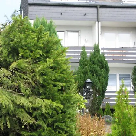 Apartment Ferienwohnung Im Schieferhaus Winterberg
